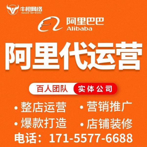 珠海电商代运营