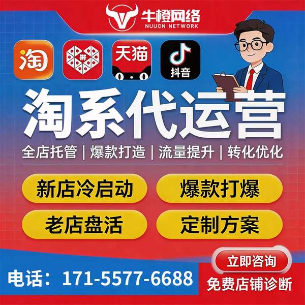 珠海电商代运营