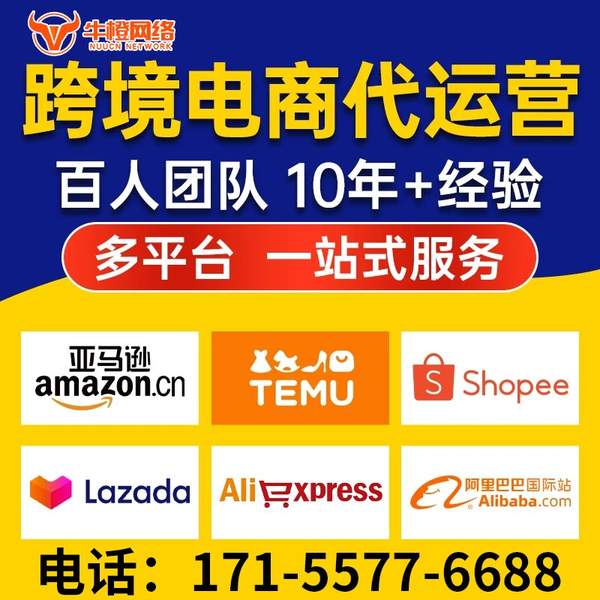 珠海电商代运营