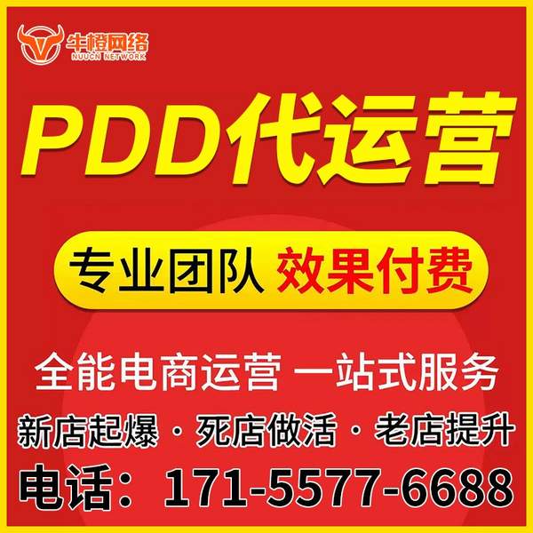 珠海电商代运营