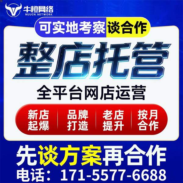 珠海电商代运营