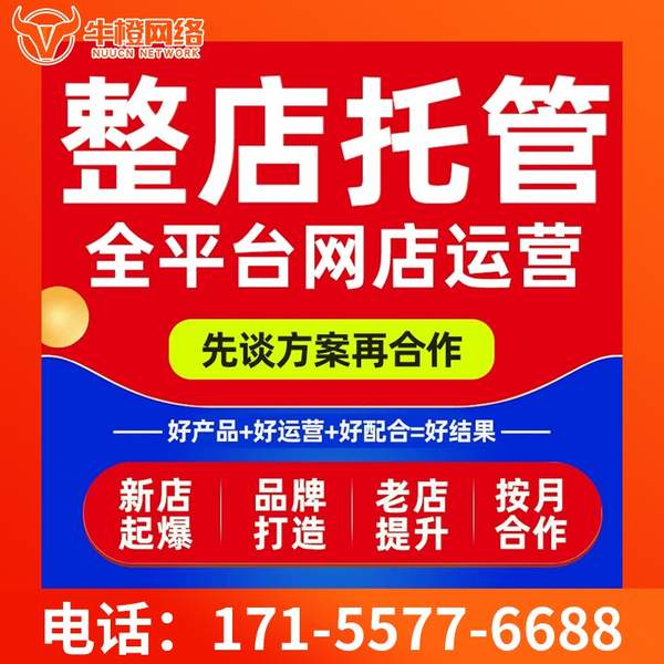 珠海电商代运营