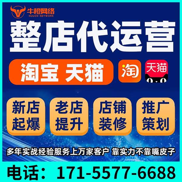 珠海电商代运营