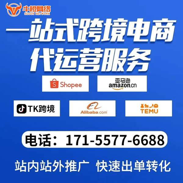 珠海电商代运营