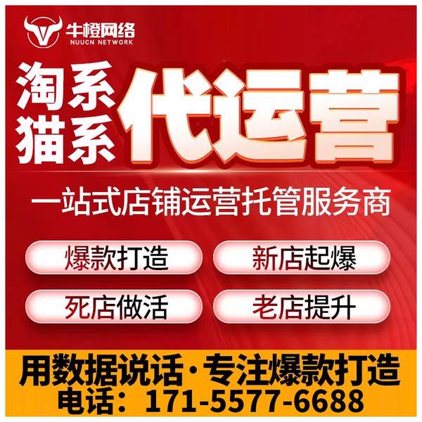 珠海电商代运营
